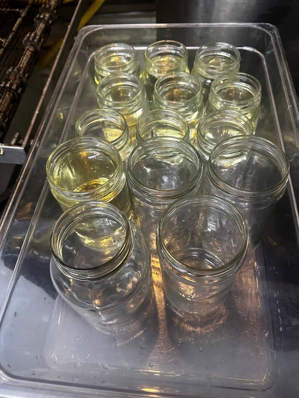 Unscented Grass-Fed Beef Tallow | 2 Pounds | Lady May Tallow