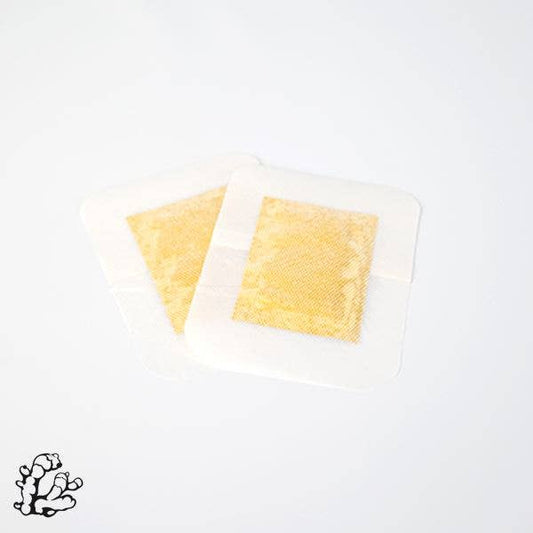 Ginger Detox Foot Pads | 20pc