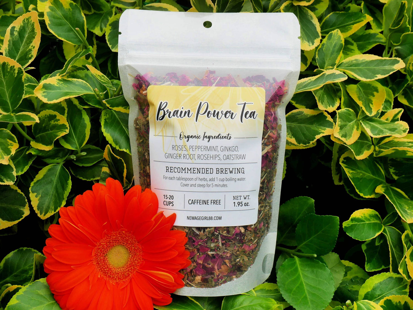 Brain Power | Organic Herbal Loose Tea
