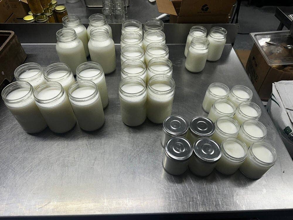 Unscented Grass-Fed Beef Tallow | 2 Pounds | Lady May Tallow