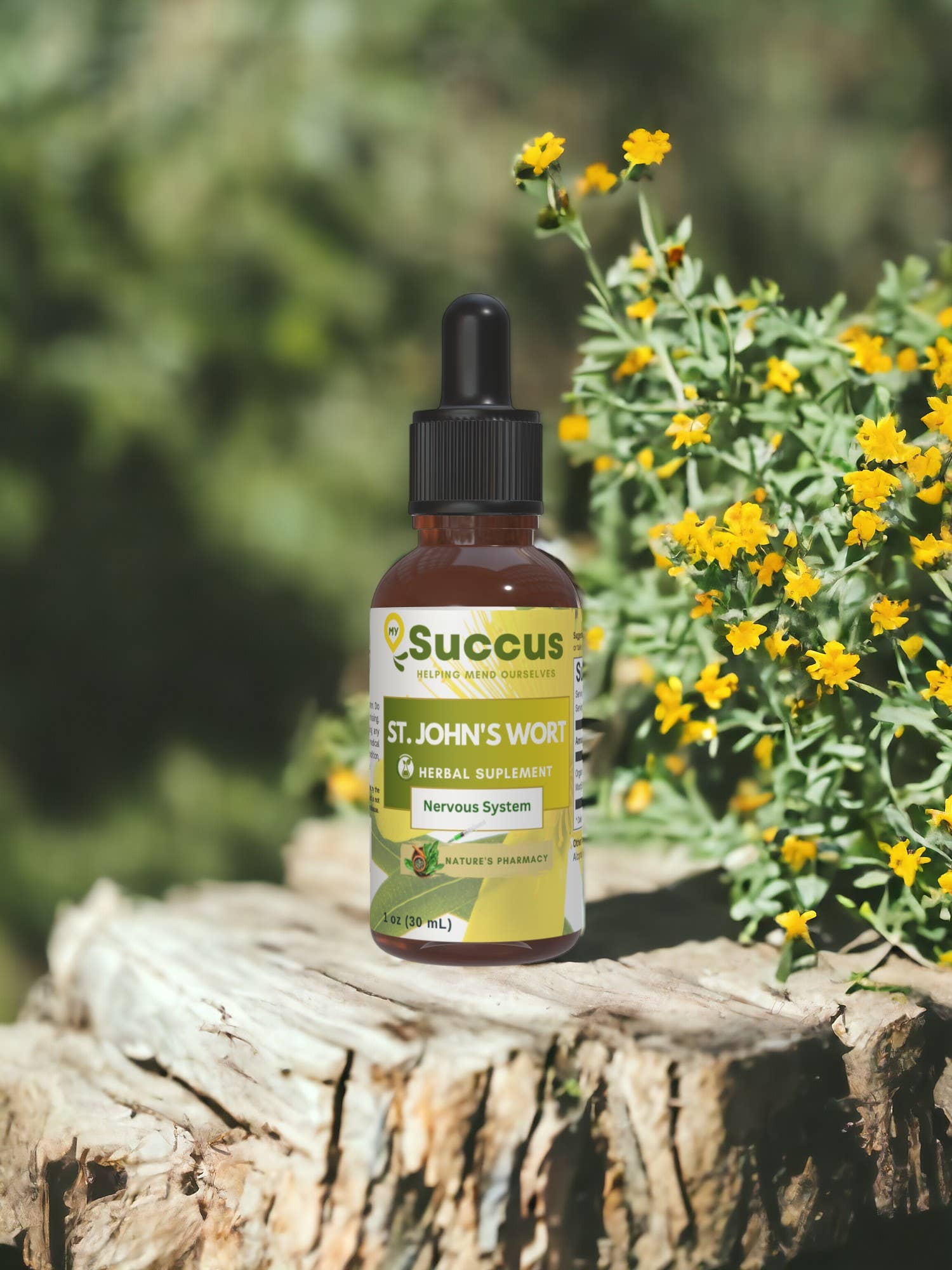 St. John's Wort Tincture | Nervous System (High Potency) | Alcohol-Free | 1 fl oz