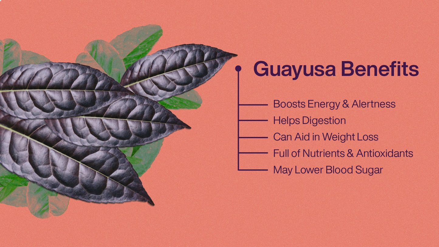 Guayusa Tea - 50gr